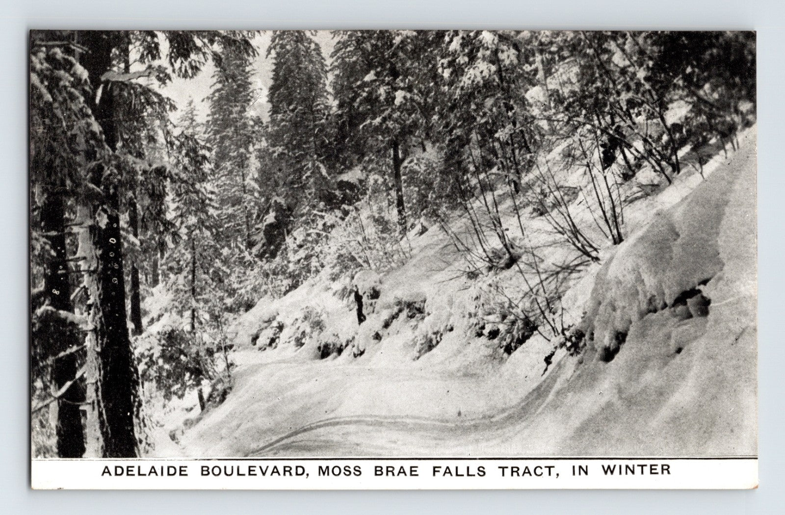 Adelaide Boulevard Moss Brae Falls Tract winter snow Shasta California 1910s postcard
