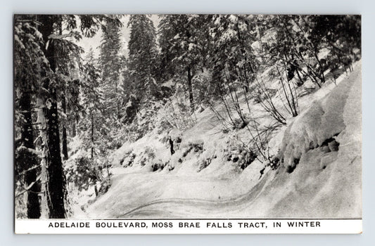Adelaide Boulevard Moss Brae Falls Tract winter snow Shasta California 1910s postcard