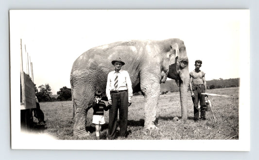 Beer Barnes Circus 1943 elephant trainer circus lot elephant photograph