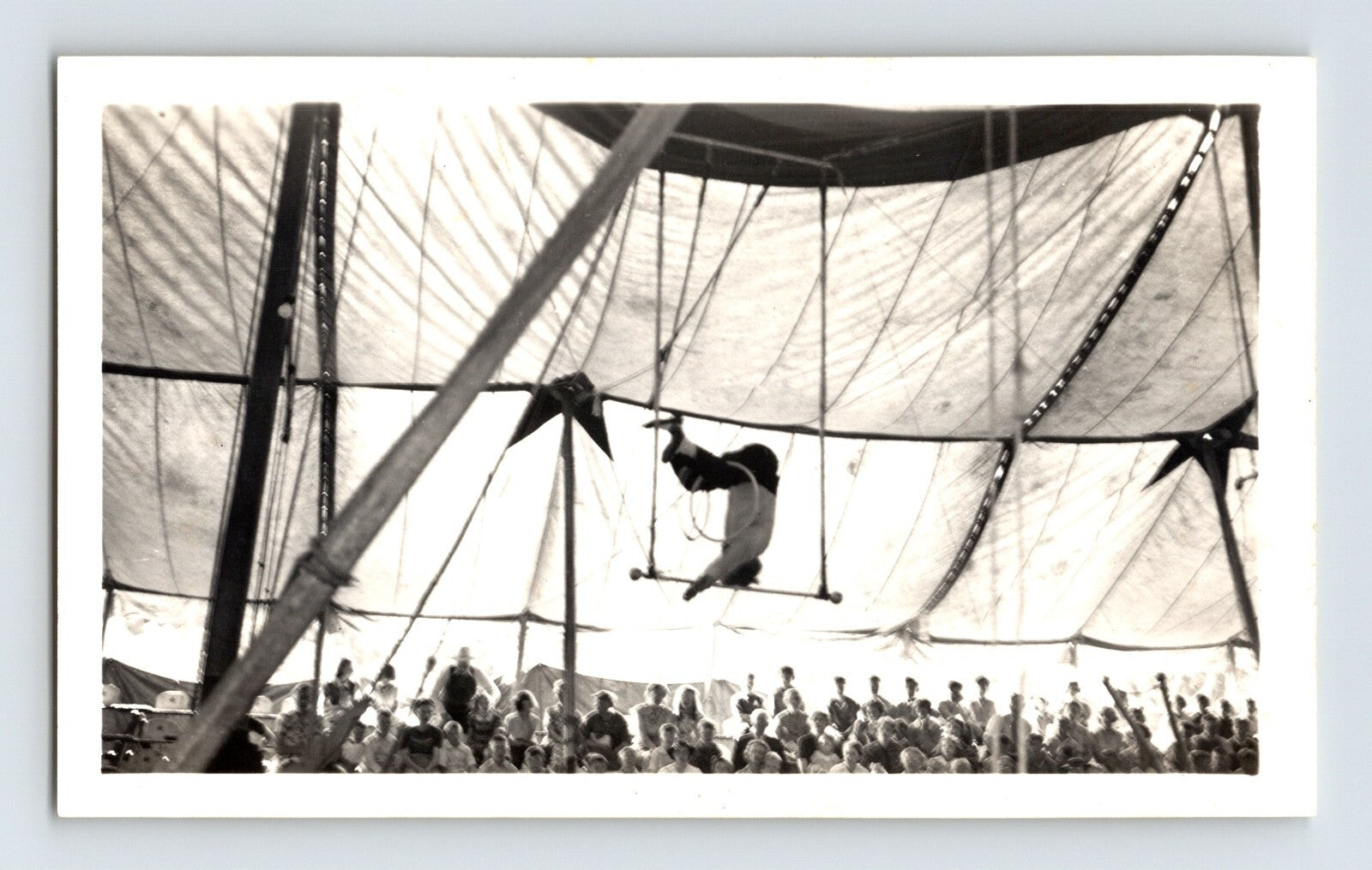 Circus trapeze artist performing beneath tent canopy with audience gathered below, 1940s Conroy Bros photograph.