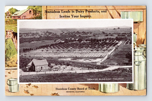 Modesto California Orange Blossom Colony dairy farm aerial view with milk cans border design 1920s postcard