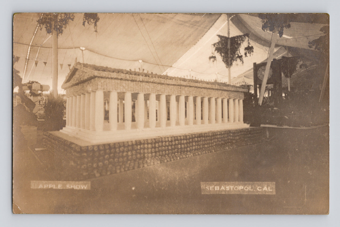 Sebastopol California Gravenstein Apple Show display colonnade exhibit photo 1913 postcard