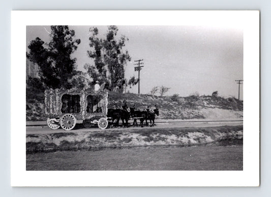 Disneyland Mickey Mouse Club Circus ornate animal cage wagon mule team 1955 photo Anaheim California