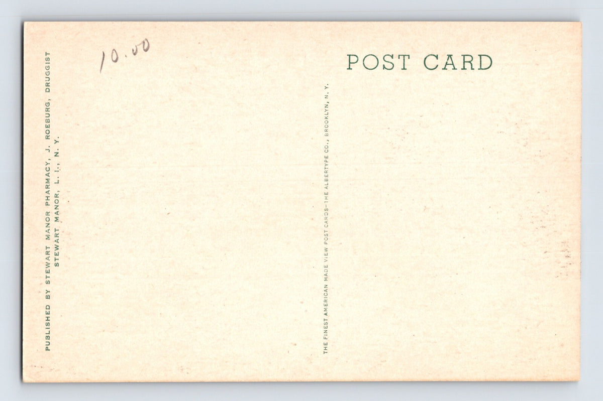 Stewart Manor New York Long Island Sewanhaka High School 1920s Postcard Unposted
