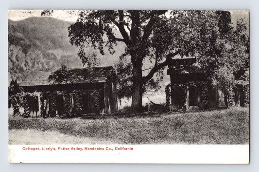 Lierlys Cottages in Potter Valley Mendocino County California showing rustic wooden cabins beneath large tree in early twentieth century postcard