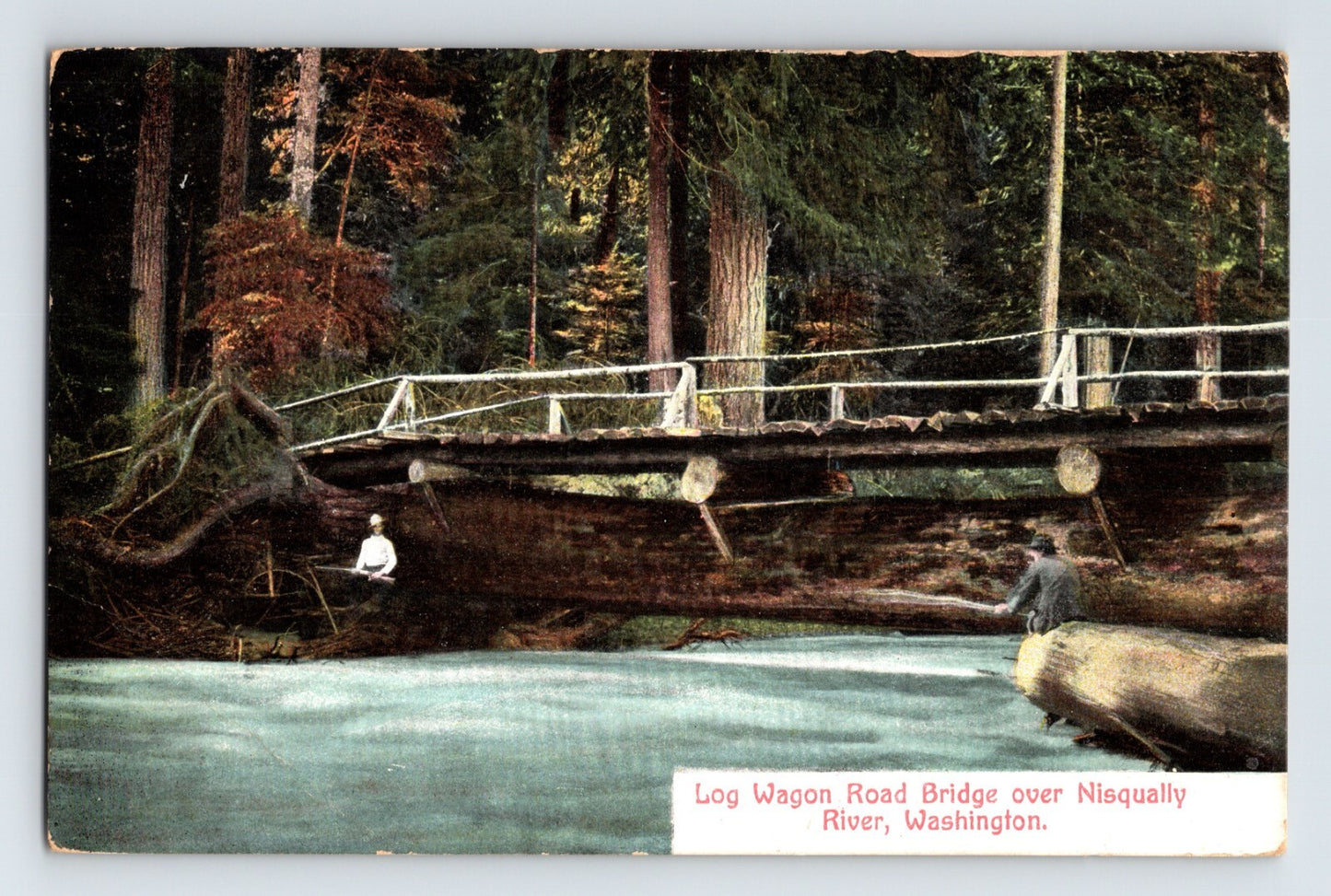 Nisqually RiverLWashington Log Wagon Road Bridge 1910 Postcard Posted Divided