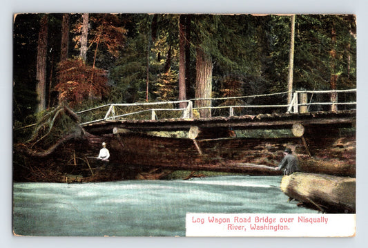 Nisqually RiverLWashington Log Wagon Road Bridge 1910 Postcard Posted Divided
