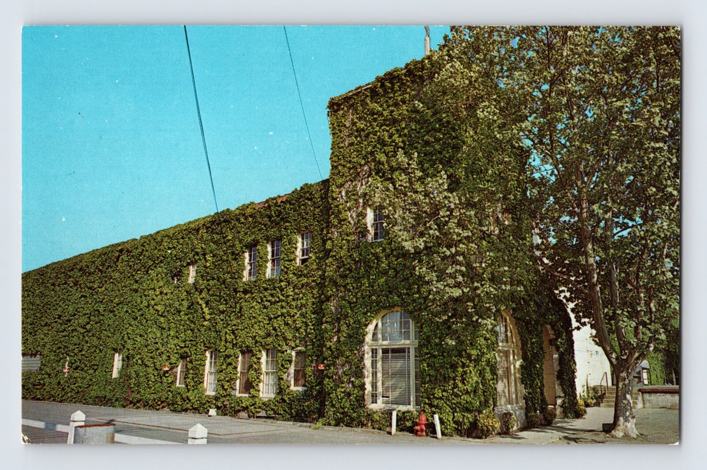 Rutherford California Napa Beaulieu Vineyard 1970s Postcard Unposted Chrome