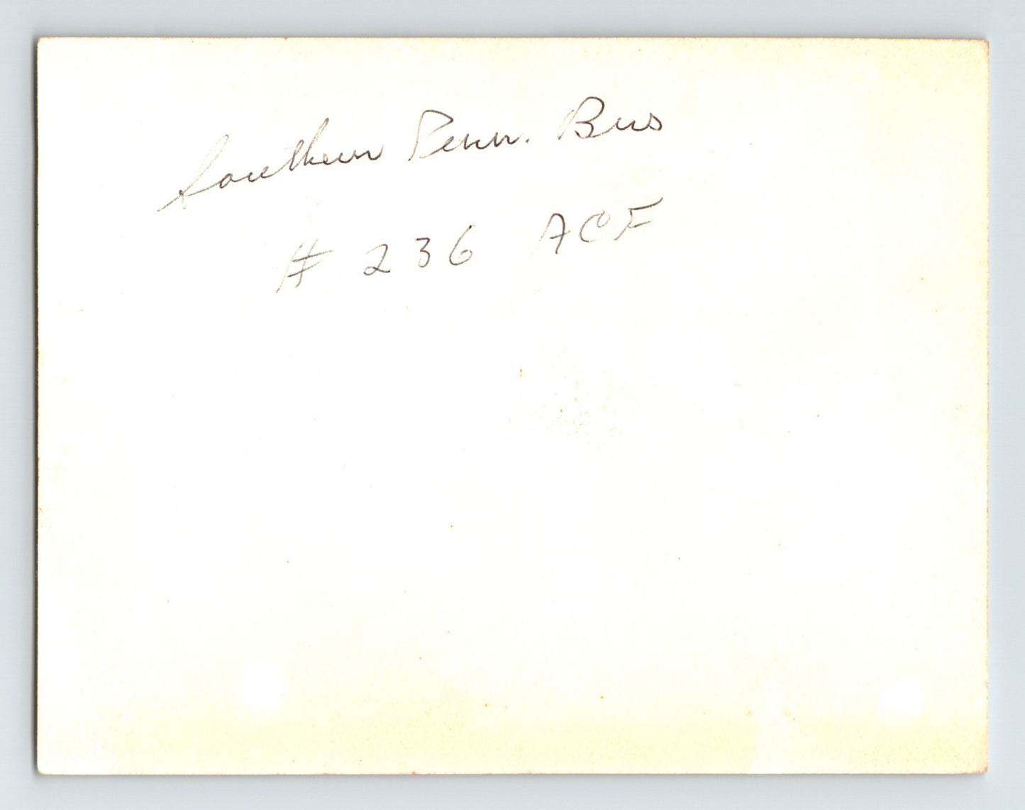 Southern Pennsylvania Bus 1940s Photo ACF Coach 236 4 x 5