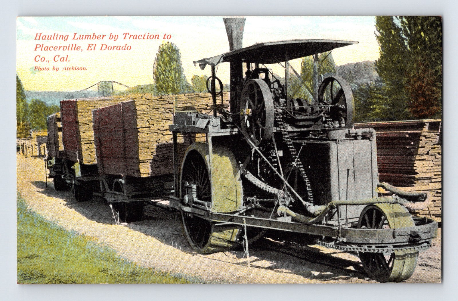 1910s postcard of Holt steam traction engine hauling lumber wagons near Placerville, California with stacked timber loads and exposed gears visible