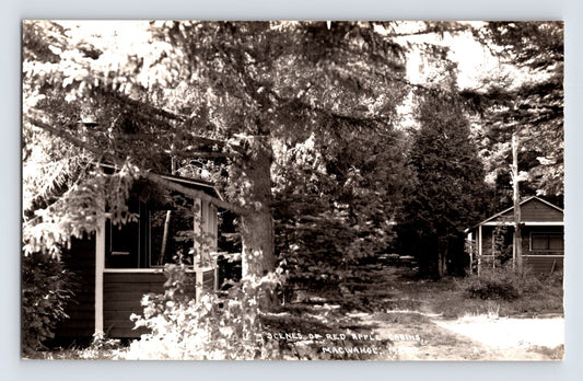 Macwahoc Maine Red Apple Cabins wooded camp cottages RPPC 1950s postcard