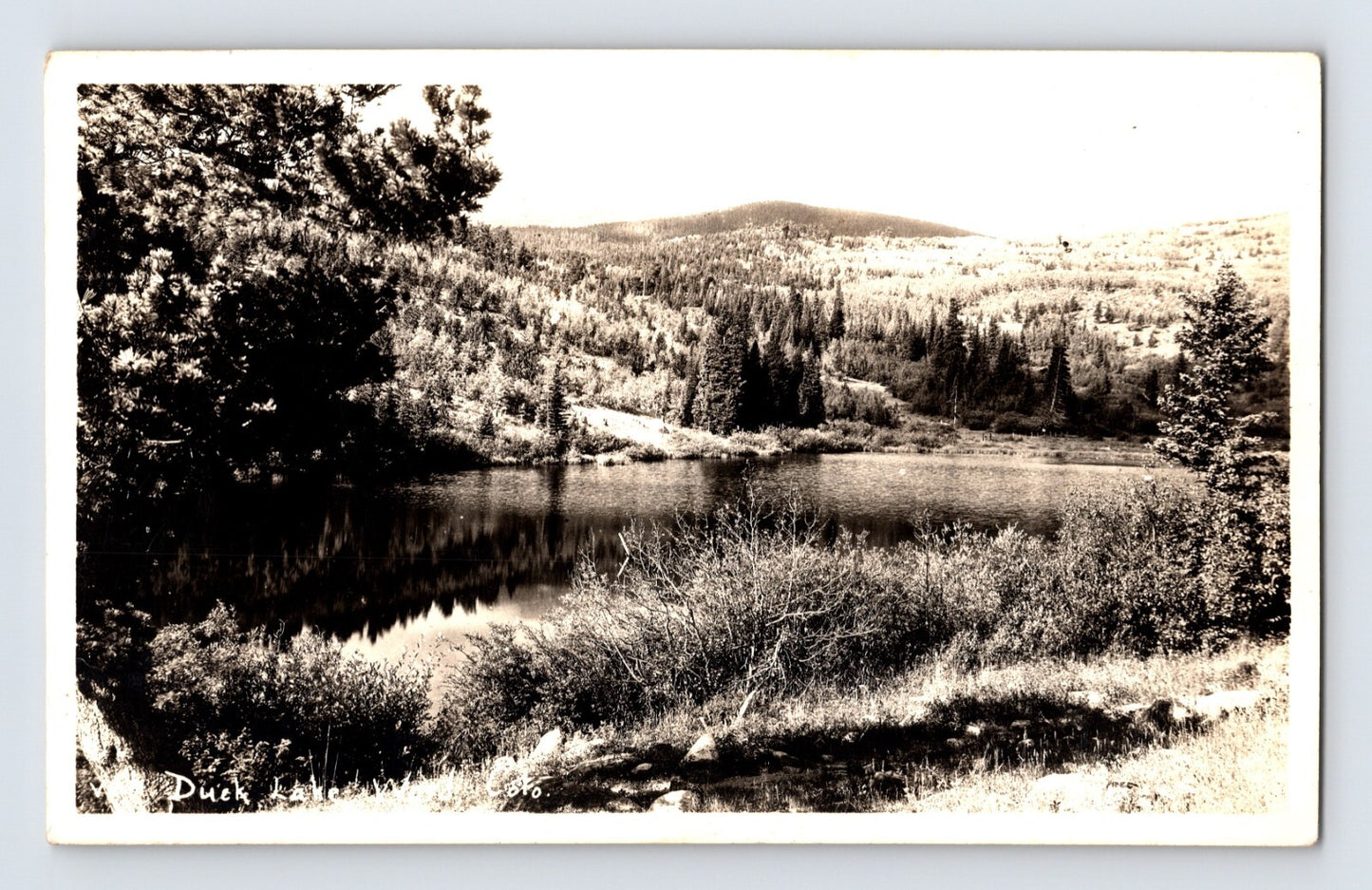 Ward Colorado Duck Lake mountain landscape trees water reflection 1940s RPPC postcard
