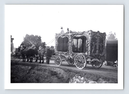 Disneyland Mickey Mouse Club Circus two compartment cage wagon horses 1955 circus wagon road Anaheim California