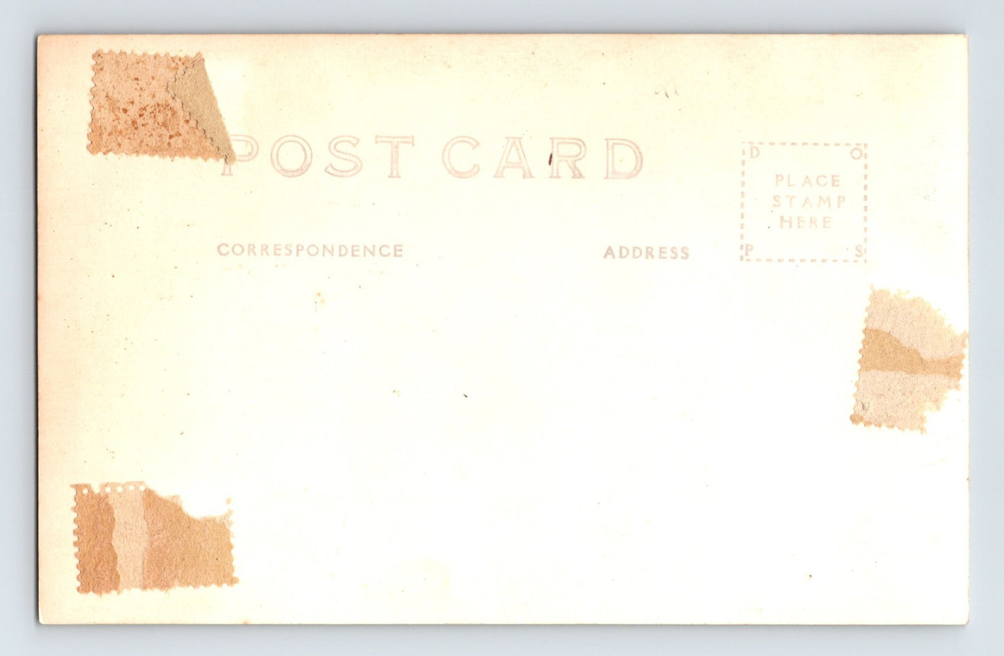 Idyllwild California Fern Valley Mountain Scene 1930s RPPC Postcard Unposted