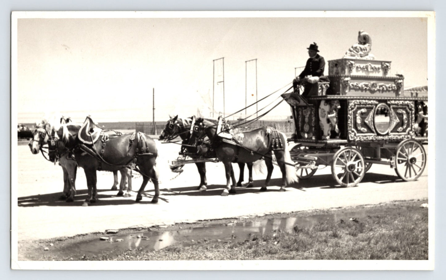 Circus parade ornate band wagon pulled by four horses Lawrence Michigan 1972 circus street parade photograph