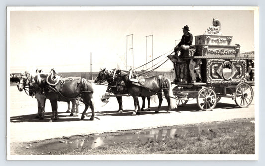 Circus parade ornate band wagon pulled by four horses Lawrence Michigan 1972 circus street parade photograph