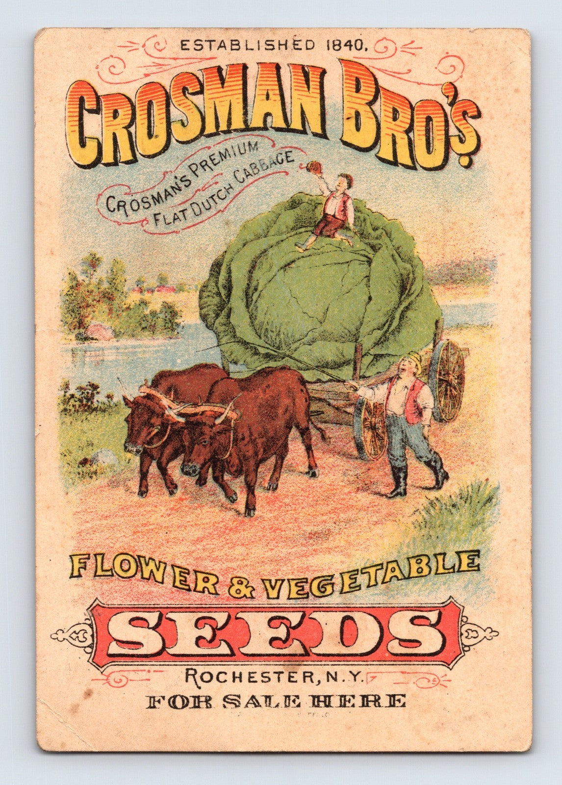 Crosman Bros Seeds Rochester New York Victorian trade card with giant cabbage wagon illustration, 5 x 3.5