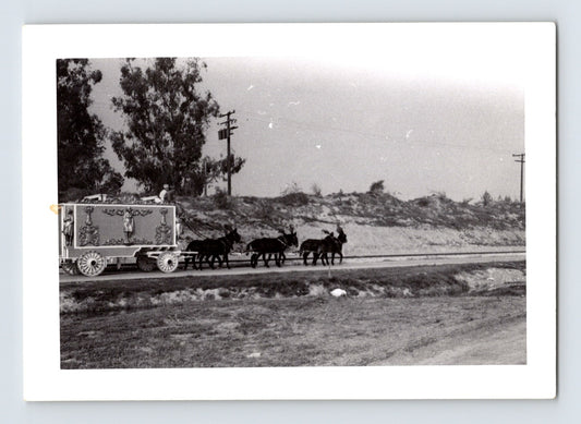Disneyland Mickey Mouse Club Circus decorative wagon mule team 1955 photo Anaheim California