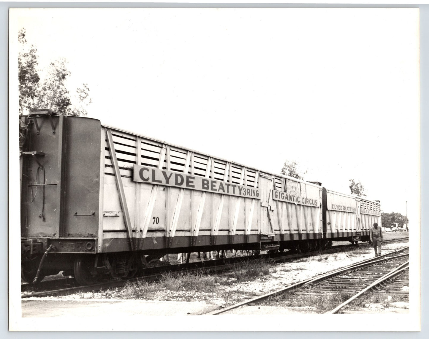 Clyde Beatty Circus 1950s Photo Railroad Train Car 8 x 10