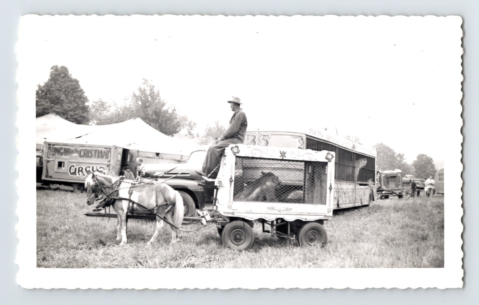King Cristiani Circus 1952 cage wagon ponies circus lot transport wagon photograph