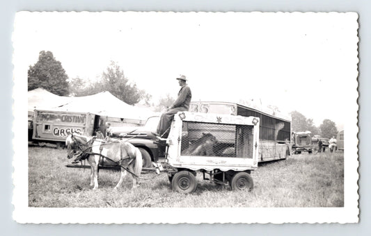 King Cristiani Circus 1952 cage wagon ponies circus lot transport wagon photograph