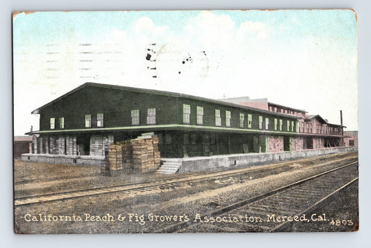 Merced California Peach and Fig Growers Association building railroad tracks 1933 postcard posted divided back