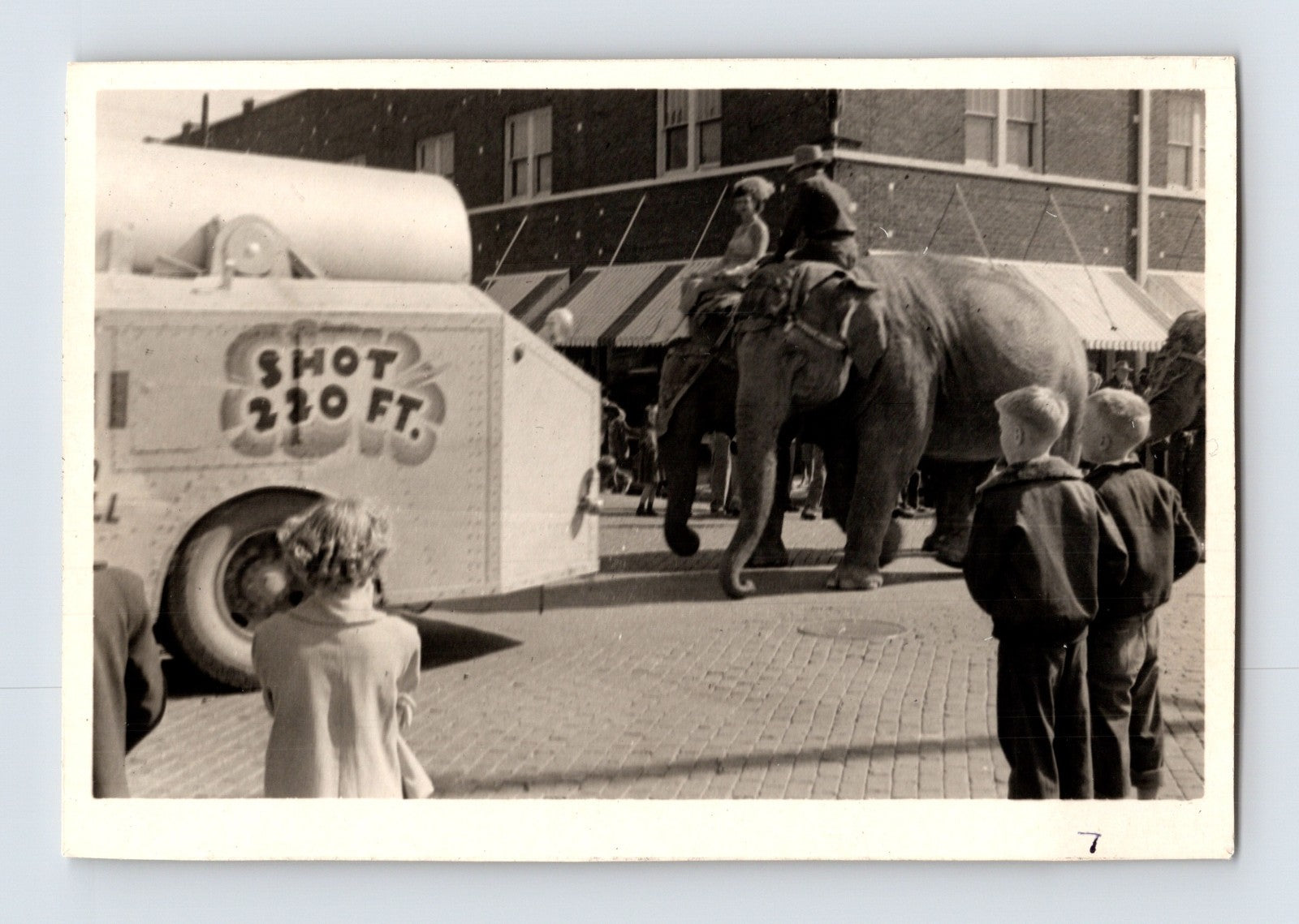 King Bros Cristiani Circus 1950s photo elephant parade Helena Arkansas