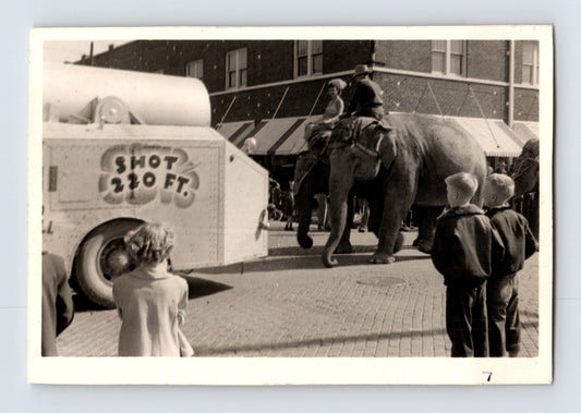 King Bros Cristiani Circus 1950s photo elephant parade Helena Arkansas