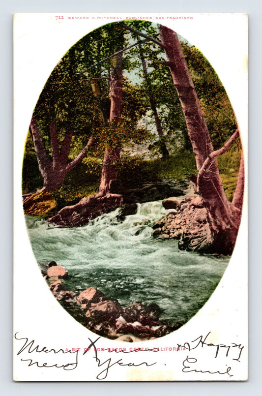 Hand-colored postcard showing a wooded creek scene near Los Gatos, California, mailed in 1905; oval vignette format with message and postmark on divided back.