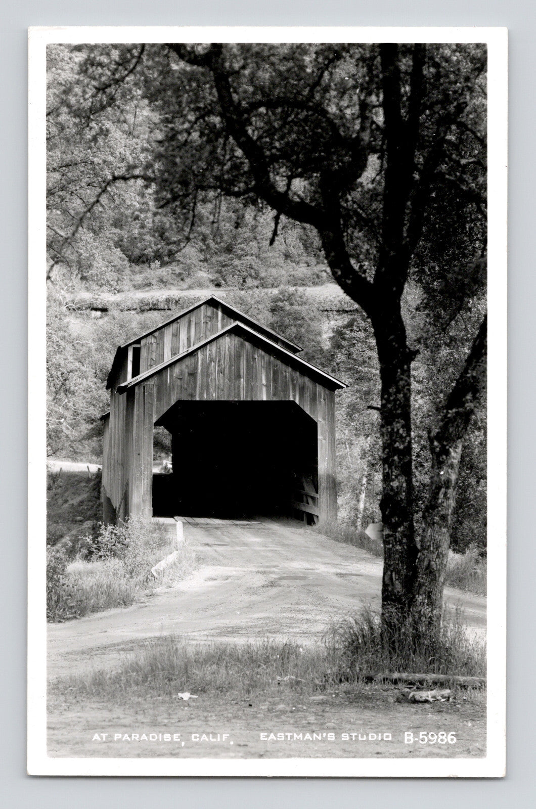 Paradise California Pratt truss covered bridge photo Postcard 1950s