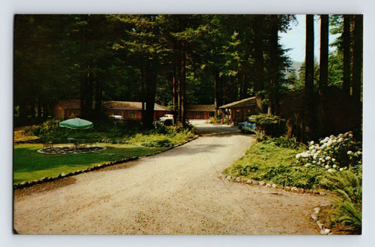 Pepperwood California Par A Dise Motel redwood trees driveway cottages 1950s postcard