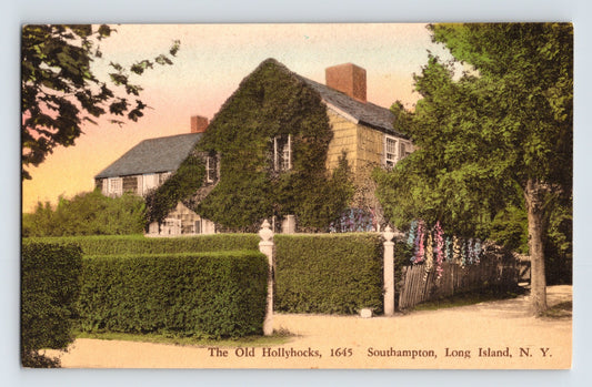 Southampton New York Long Island Hollyhock Residence 1930s Postcard Albertype