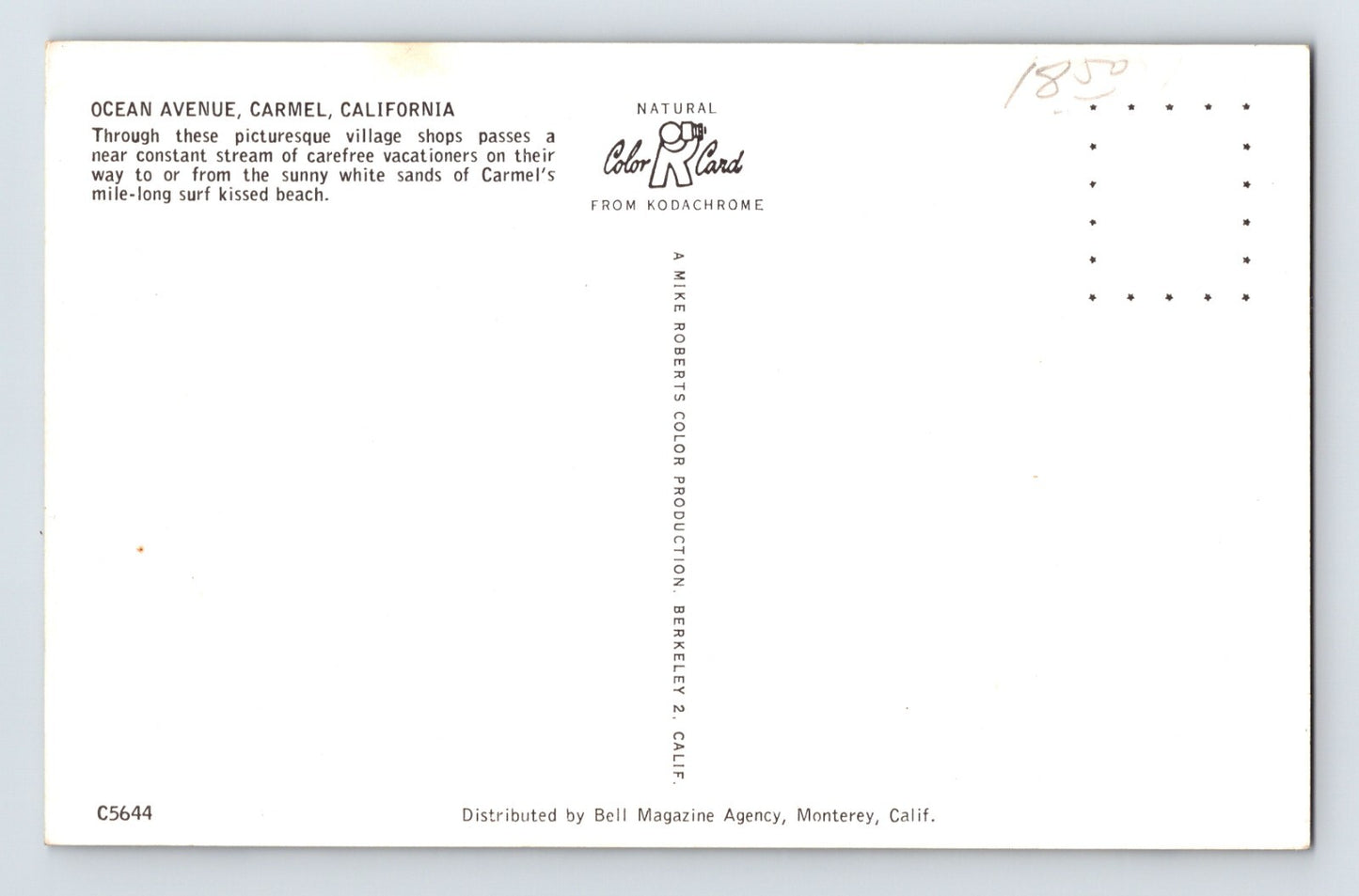 Carmel California Postcard Downtown Drug Store Cars 1950s Unposted Chrome