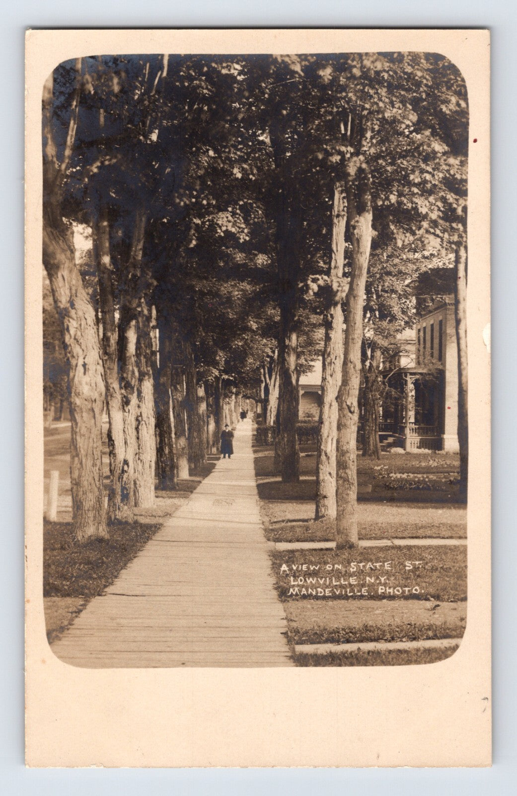 Lowville New York State Street tree lined sidewalk real photo postcard