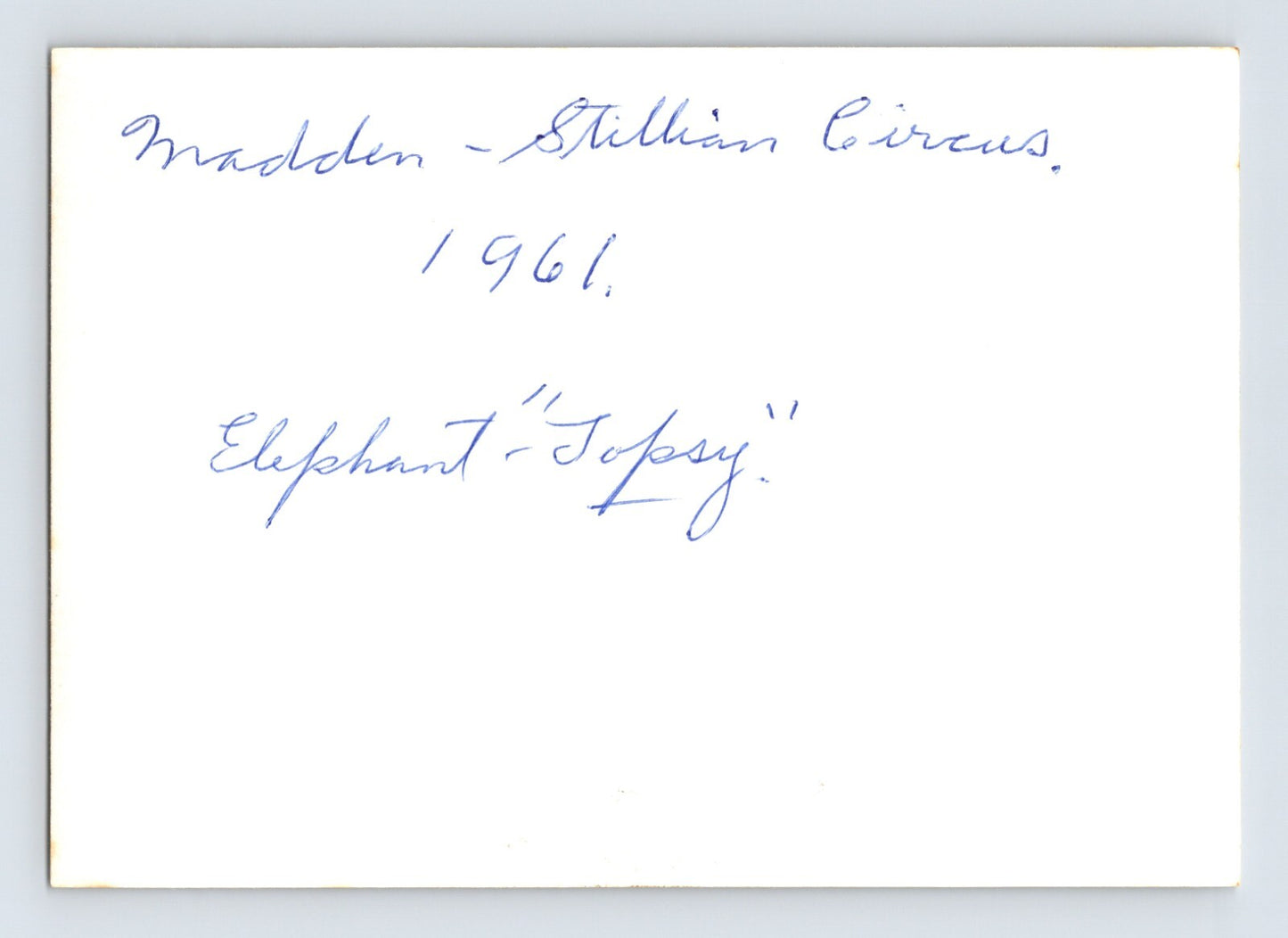Madden Stillian Circus 1961 Photo Sleeping Elephant Trainer 5 x 3.5