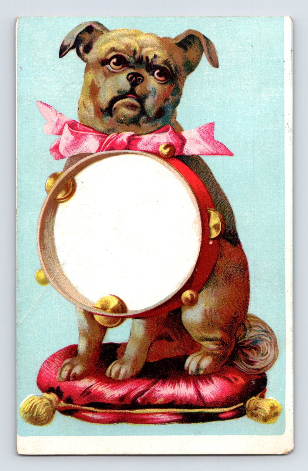 Bride ranges heaters trade card bulldog pug dog tambourine illustration Scranton Pennsylvania Connell Sons