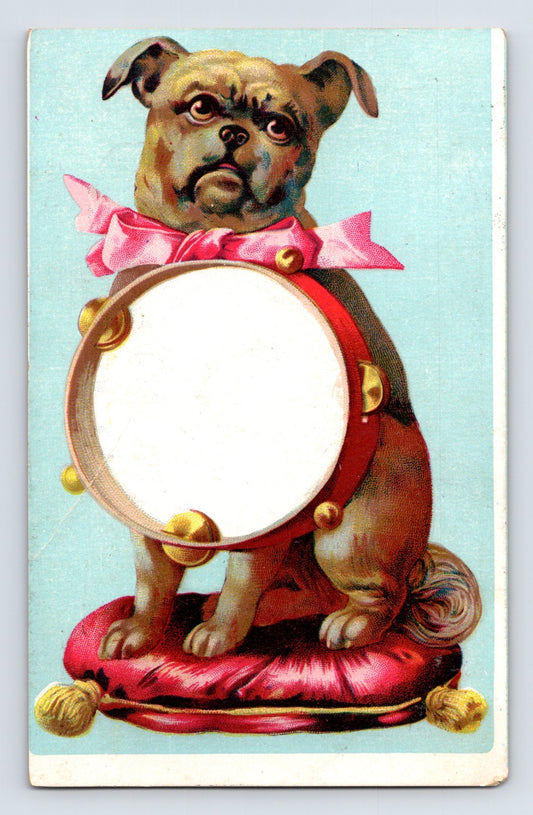 Bride ranges heaters trade card bulldog pug dog tambourine illustration Scranton Pennsylvania Connell Sons