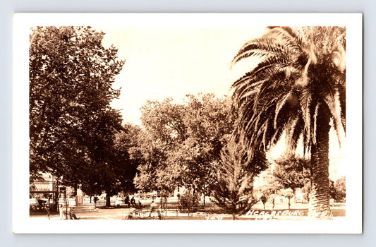 Healdsburg California plaza square with palm tree benches and shaded park setting 1940s RPPC postcard