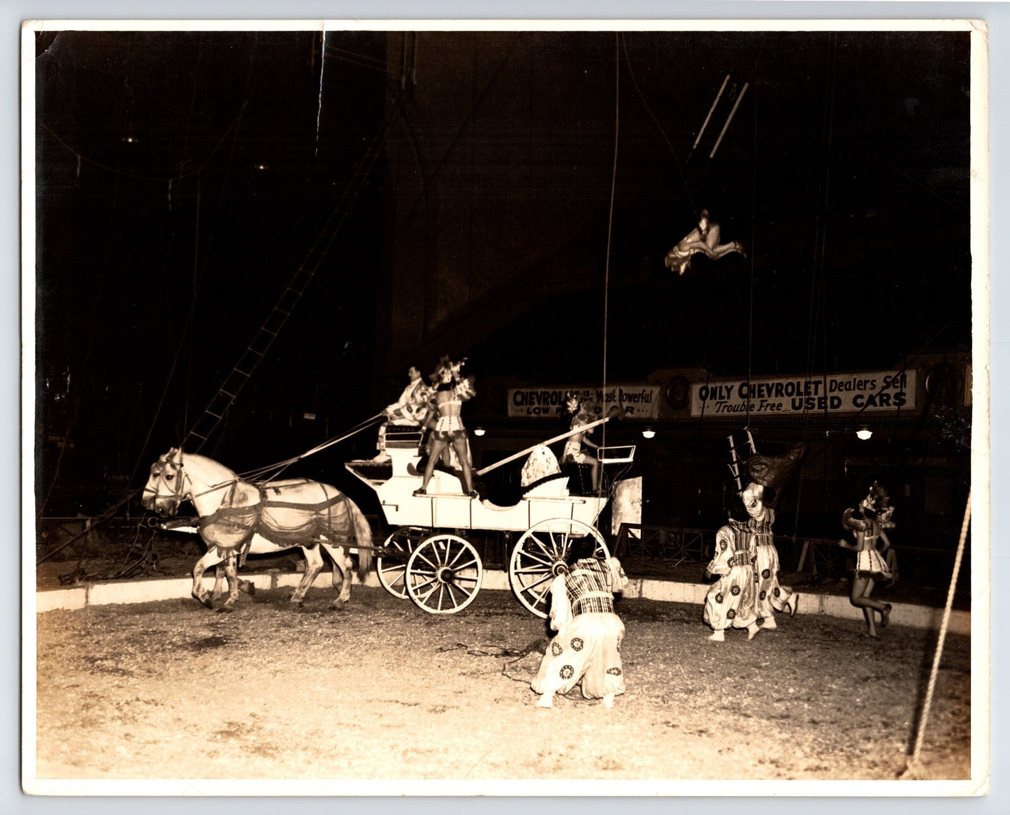 Circus Performers Horse Trapeze 1940s Photo 8 x 10