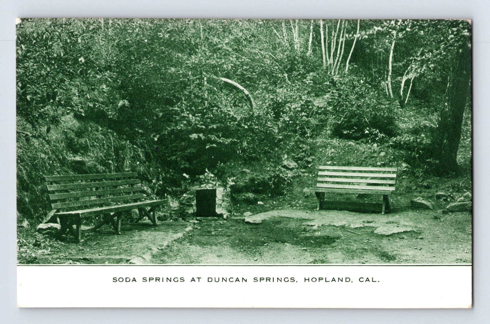 Hopland California Duncan Soda Springs 1910s postcard benches natural spring wooded setting divided back