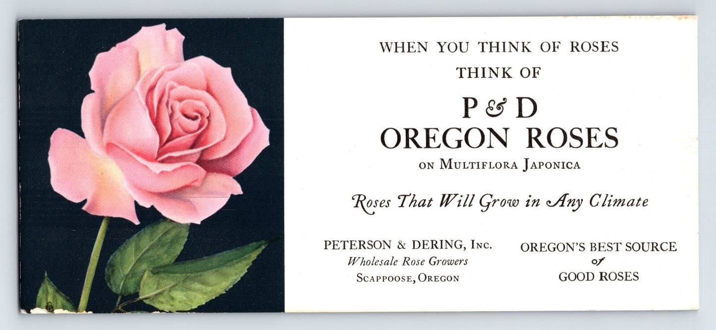 Scappoose Oregon P and D Oregon Roses advertising blotter pink rose 1940s