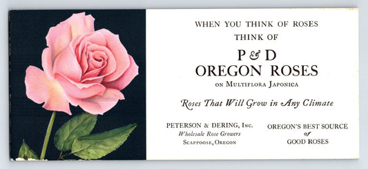 Scappoose Oregon P and D Oregon Roses advertising blotter pink rose 1940s