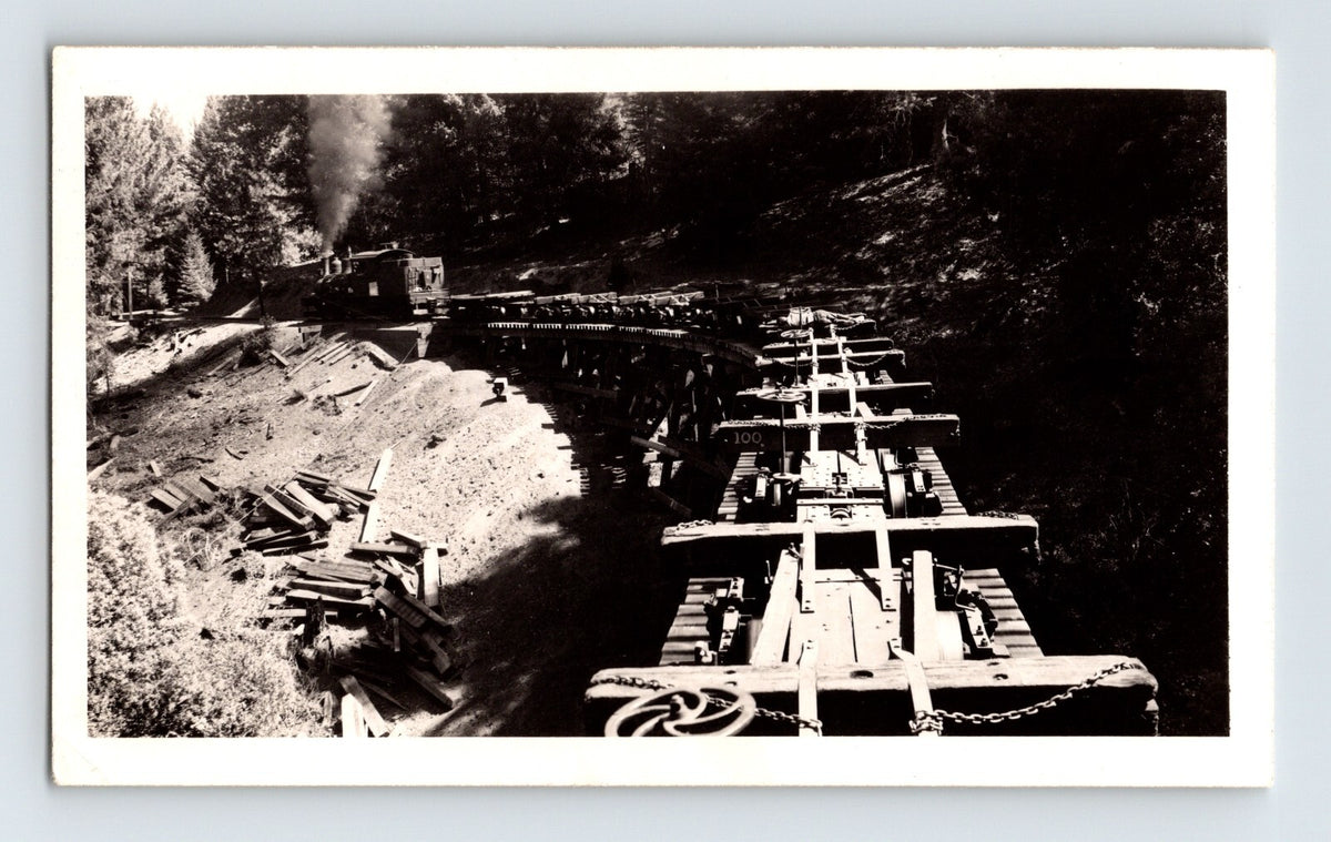 Michigan Lumber Company 1948 Photo Railroad Train Pino Grande California 2 x 4
