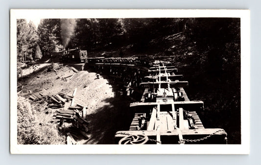 Michigan Lumber Company 1948 Photo Railroad Train Pino Grande California 2 x 4