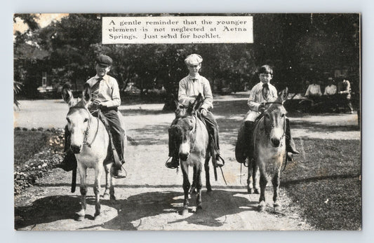 Children riding mules at Aetna Springs resort Napa County California early postcard scene