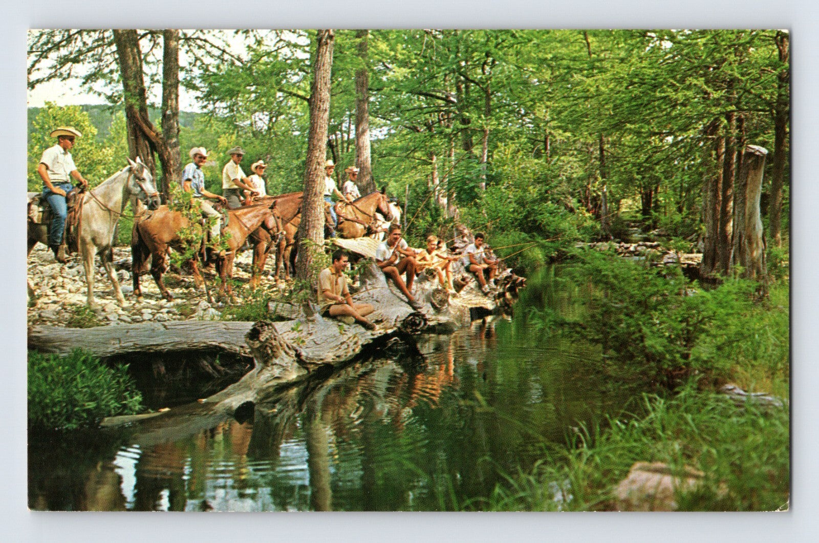 Hunt Texas La Junta Western Camp boys fishing creek horseback 1960s postcard