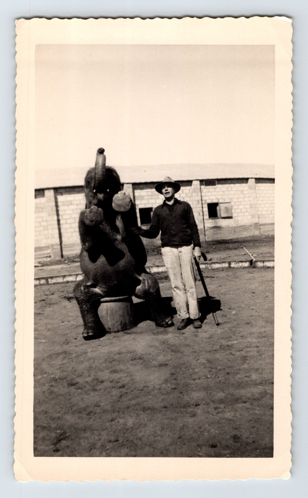 Cole Walters Circus 1951 Photo Elephant Hugo Oklahoma 6 x 3.5