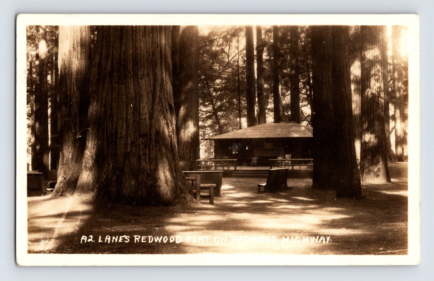 1930s real photo postcard showing Lanes Redwood Flat Cabin along the Redwood Highway in Mendocino California among towering redwood trees