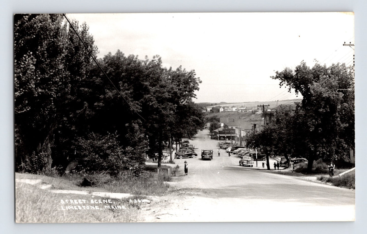 Main Street in Limestone Maine with A and P grocery store automobiles and tree lined sidewalks real photo postcard