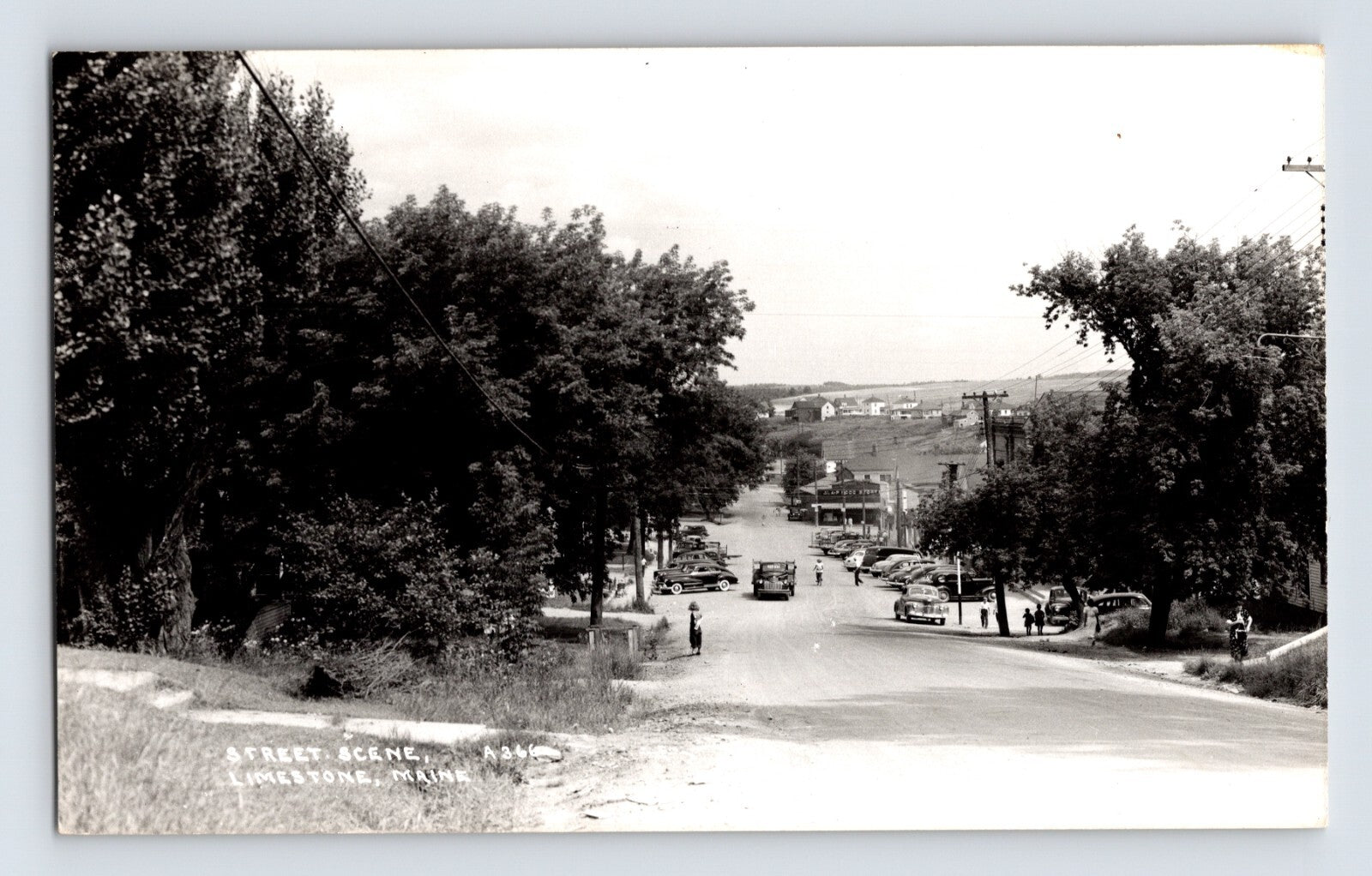 Main Street in Limestone Maine with A and P grocery store automobiles and tree lined sidewalks real photo postcard